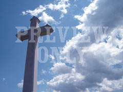 BLUE CROSS SKY